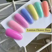 בסיס פרח לוכטון