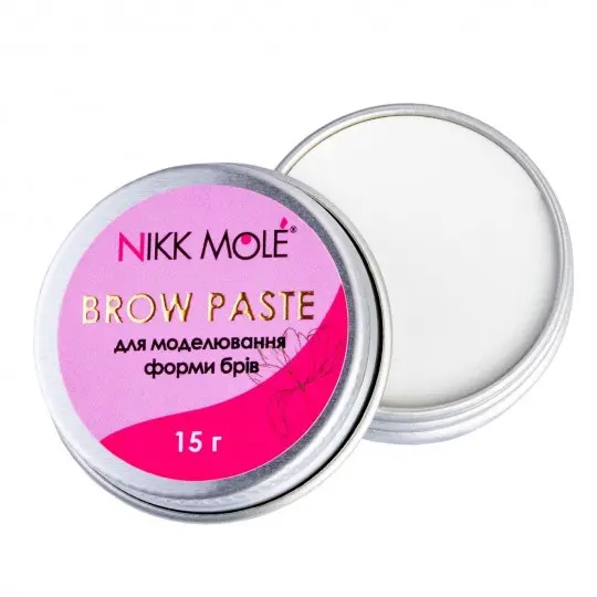 BROW PASTE