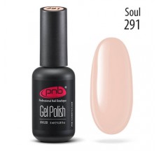 Gel polish PNB 291, 8 ml