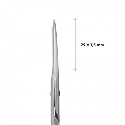 Straight multi-purpose scissors Staleks CLASSIC 31 TYPE 1 (SC-31/1)